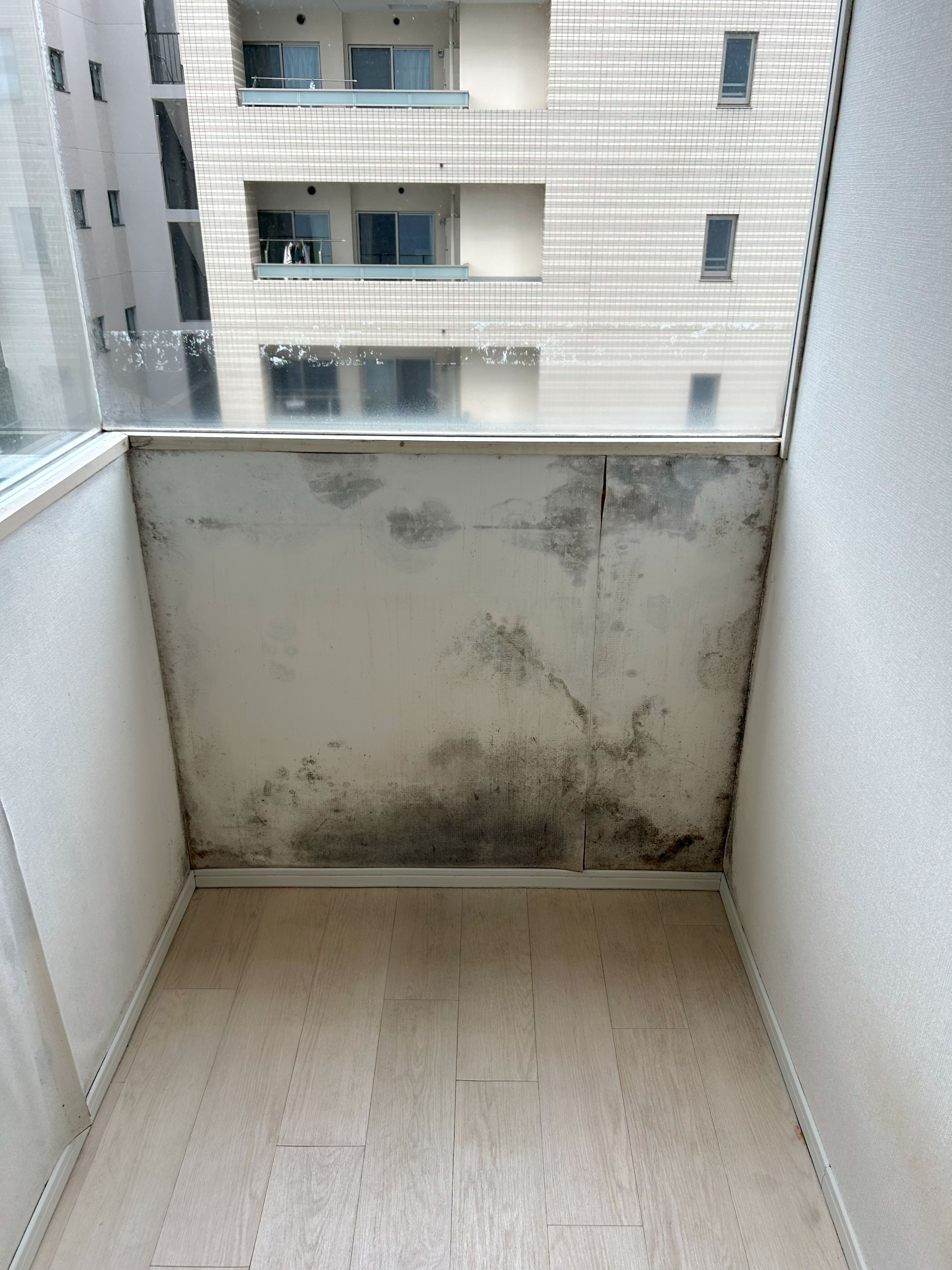 墨田区　１Kマンション原状回復工事