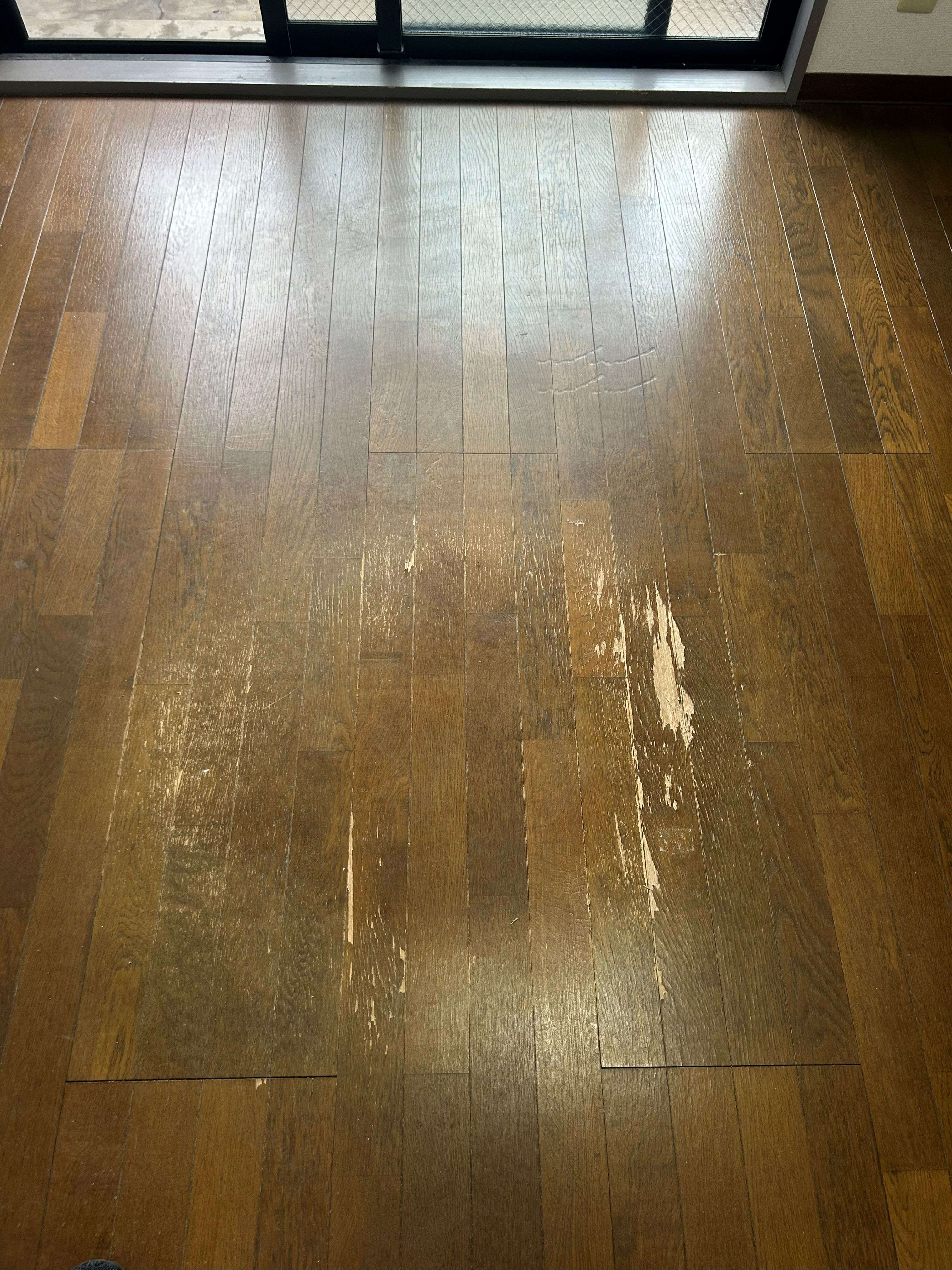 豊島区　１Ｋマンション原状回復工事